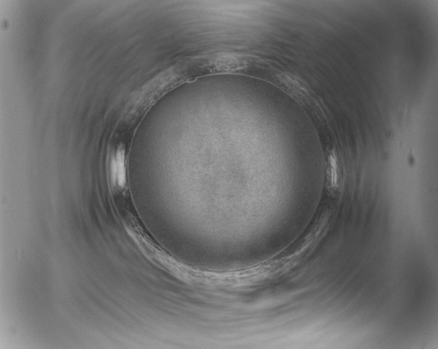 X0000054450046200507291328