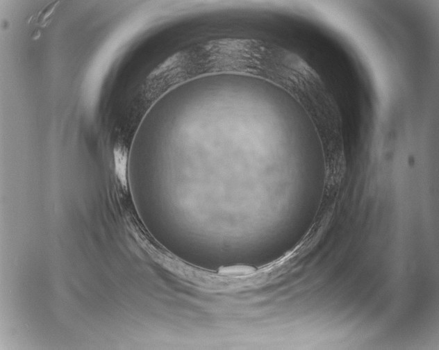 X0000054450047200507291328