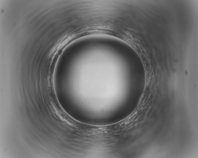 X0000054450050200507291327
