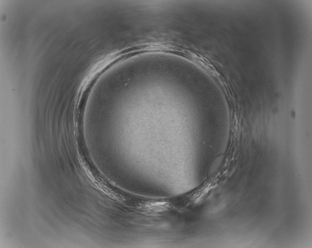 X0000054450055200507291327