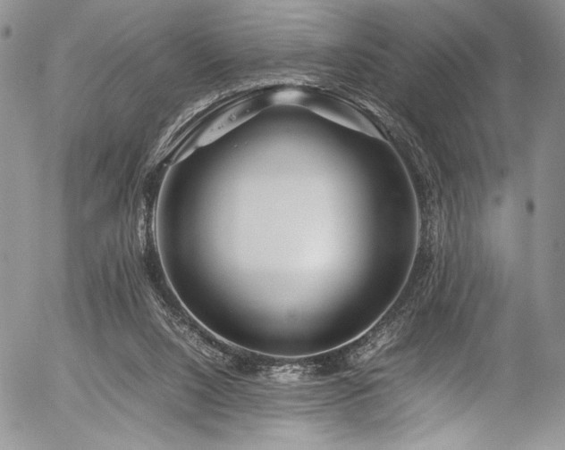 X0000054450064200507291327