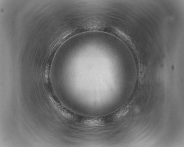 X0000054450065200507291327