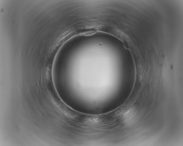 X0000054450071200507291327