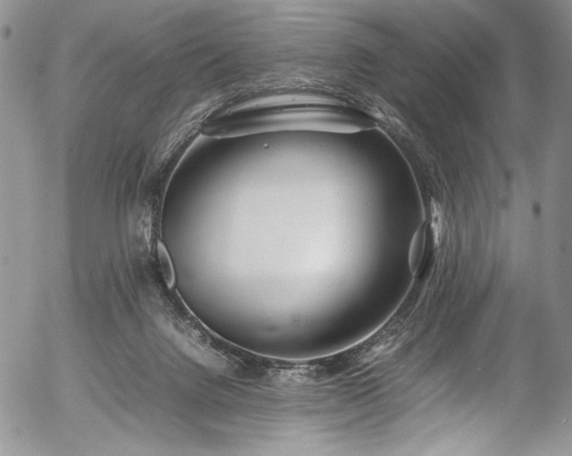 X0000054450072200507291327