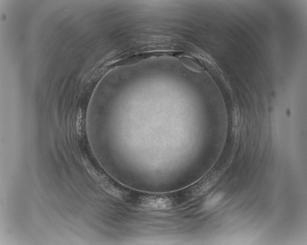 X0000054450073200507291327