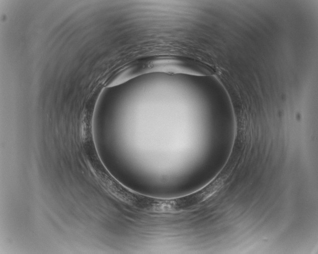 X0000054450080200507291328