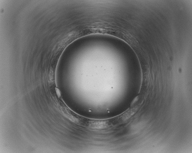 X0000054450081200507291328