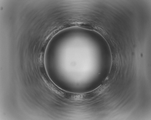 X0000054450084200507291328
