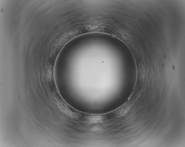 X0000054450085200507291328
