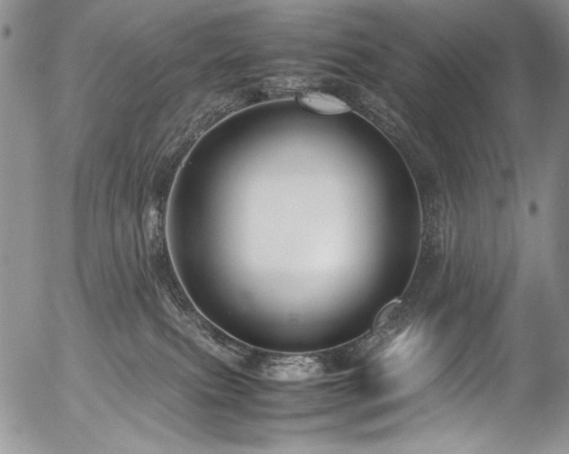 X0000054450087200507291328