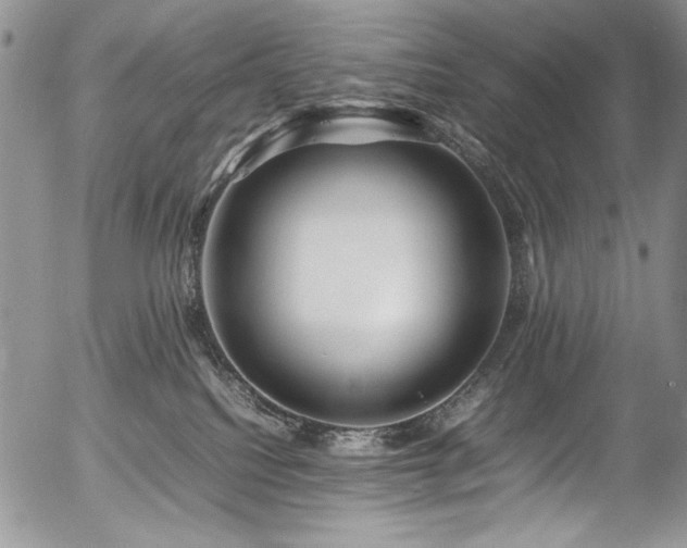 X0000054450088200507291328