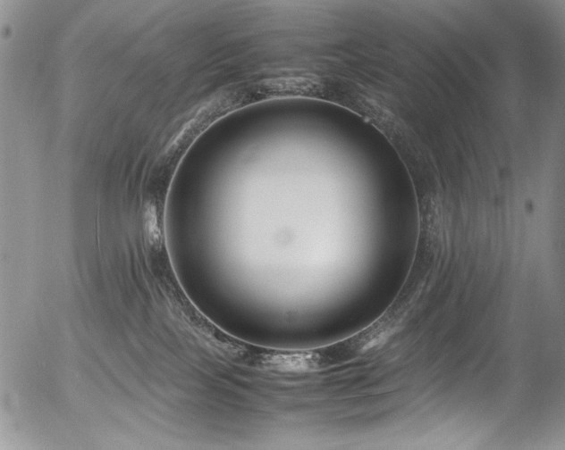 X0000054450089200507291328