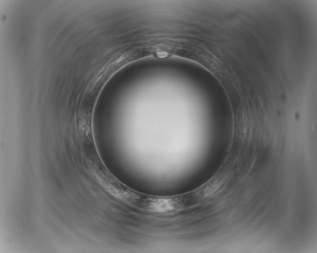X0000054450091200507291328