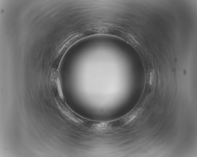 X0000054450092200507291328