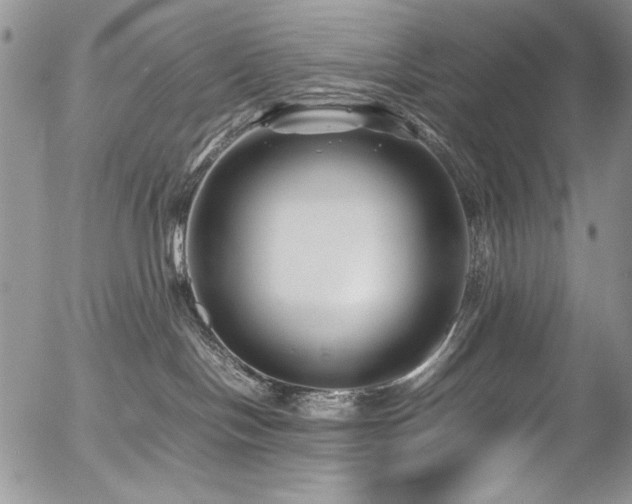 X0000054450094200507291328