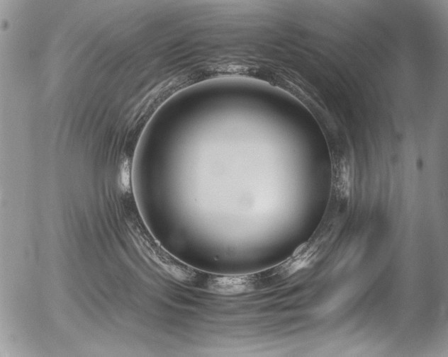 X0000054450095200507291328
