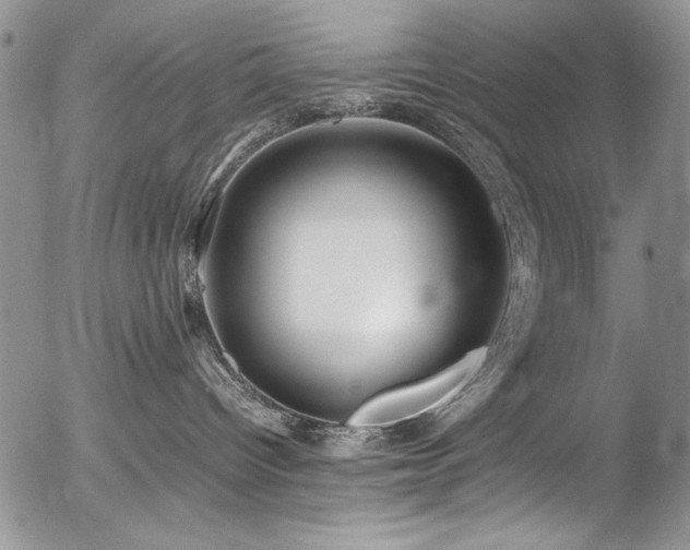 X0000054450096200507291328