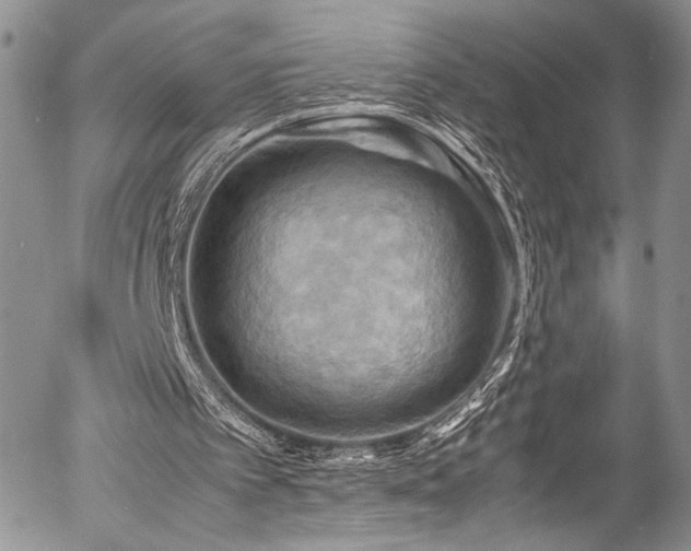 X0000054450097200507291327