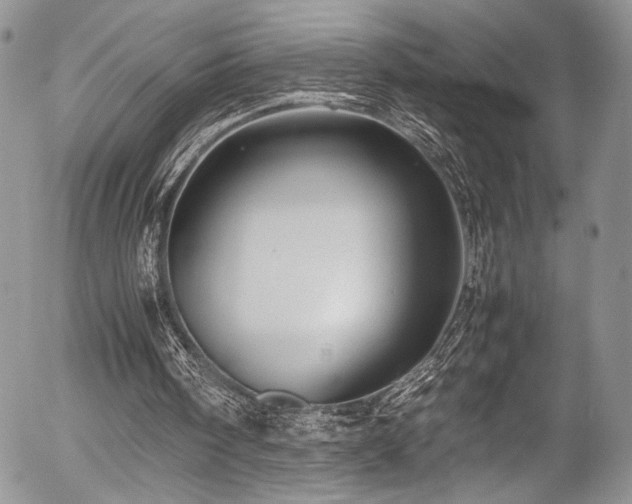 X0000054450098200507291327
