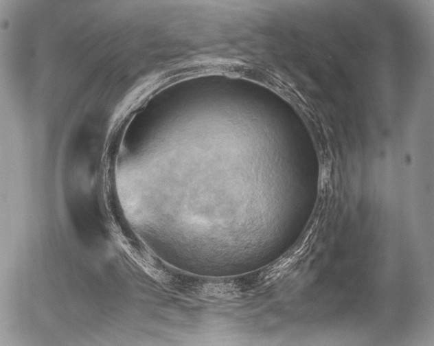X0000054450101200507291327