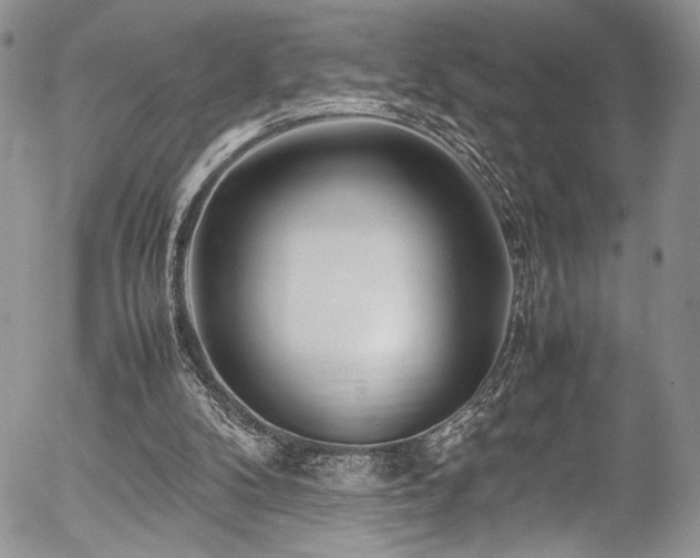 X0000054450104200507291327