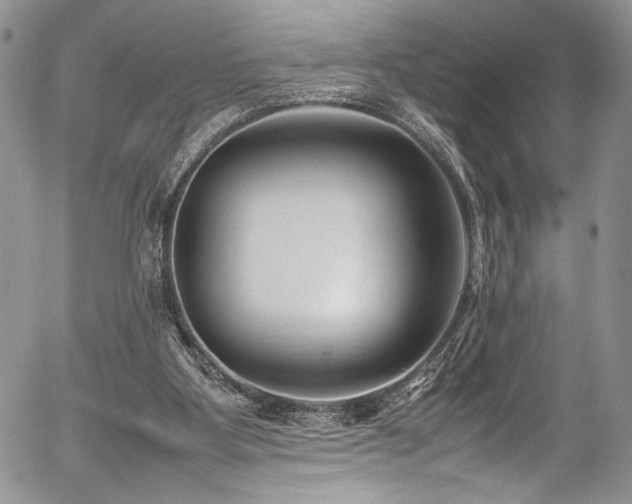 X0000054450107200507291327