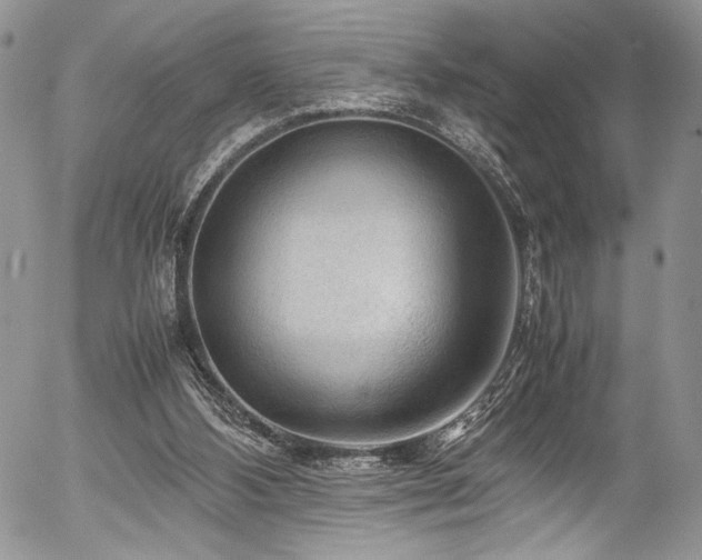X0000054450108200507291326