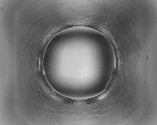 X0000054450109200507291326