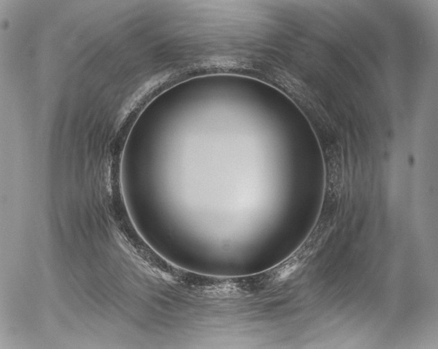 X0000054450112200507291326