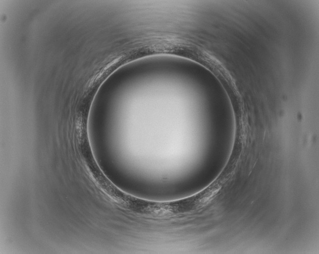 X0000054450113200507291326