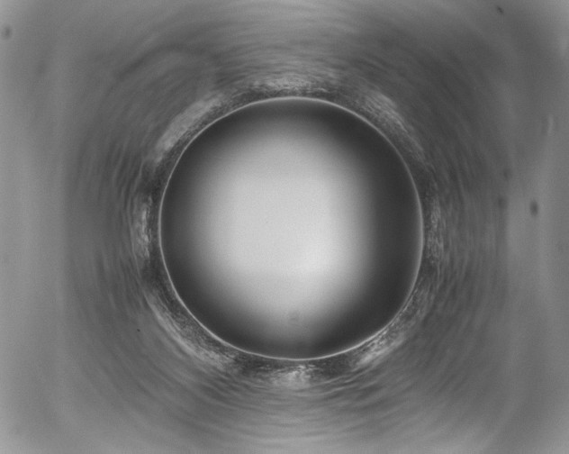 X0000054450116200507291326