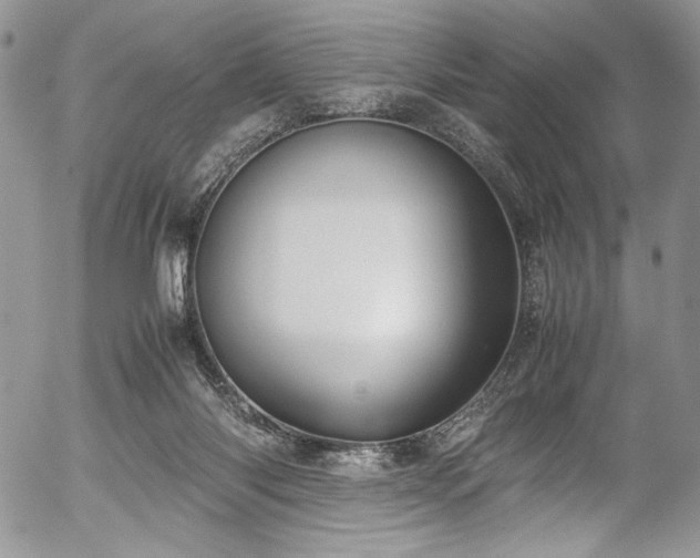 X0000054450118200507291326