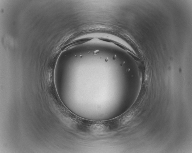 X0000054450119200507291326