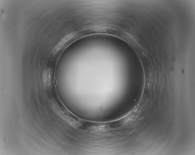 X0000054450120200507291326