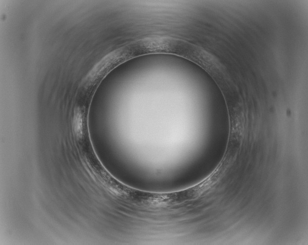 X0000054450124200507291326