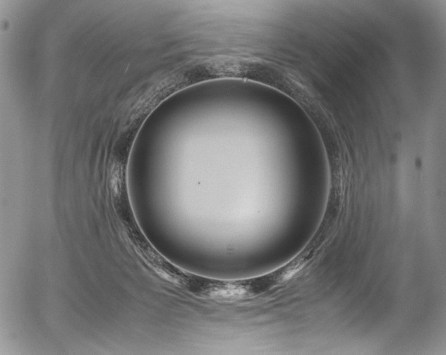 X0000054450125200507291326