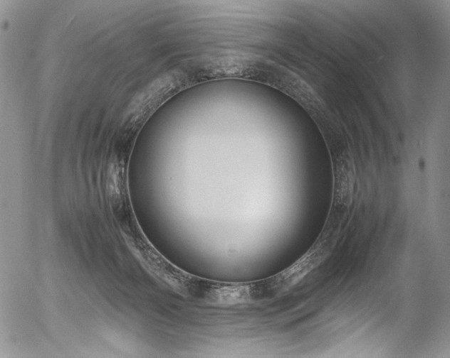X0000054450126200507291326