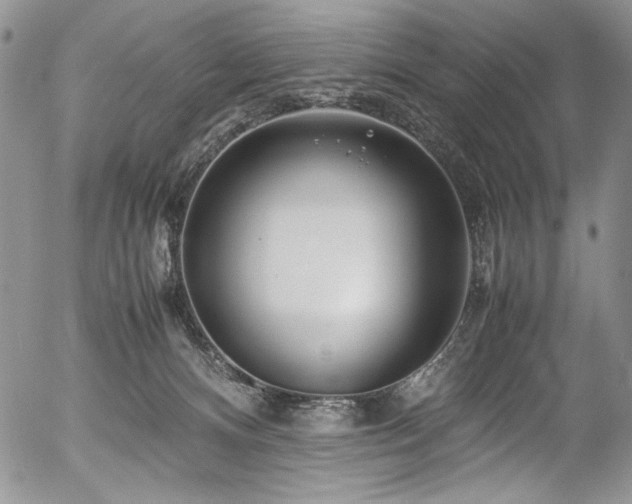 X0000054450128200507291326