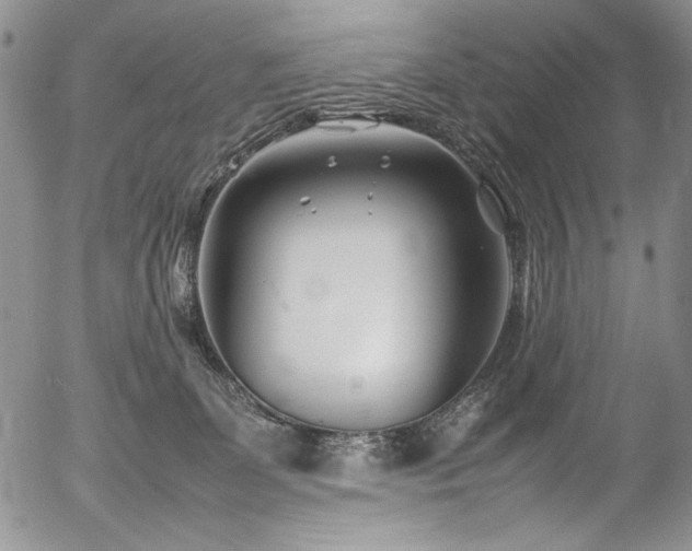 X0000054450131200507291326