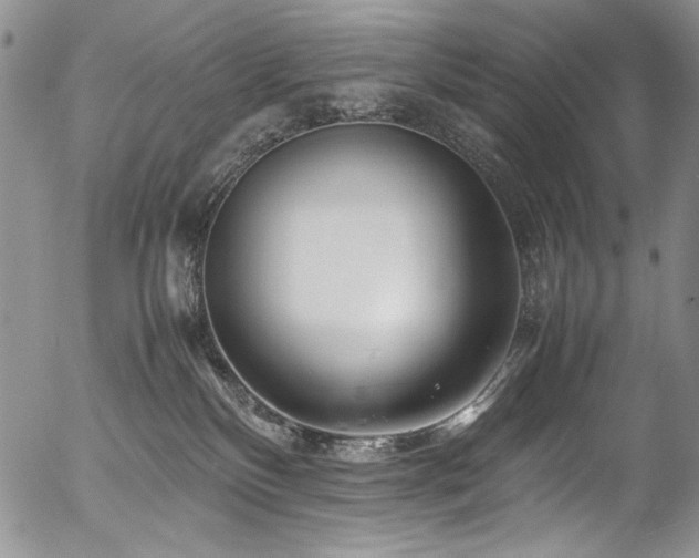 X0000054450136200507291326