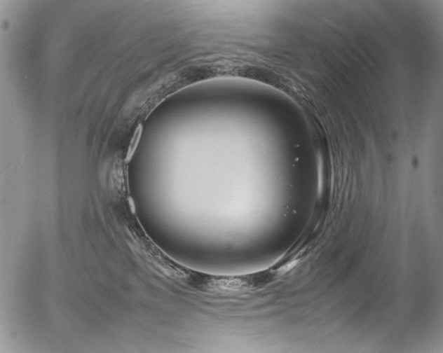 X0000054450137200507291326