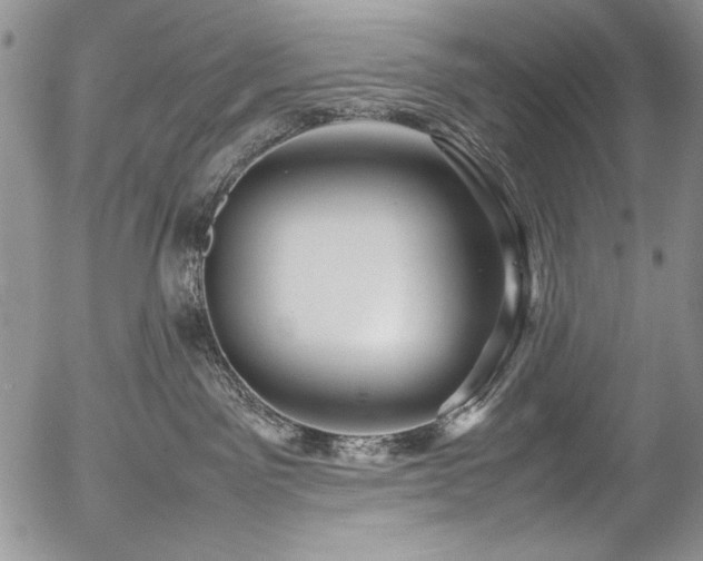 X0000054450141200507291326