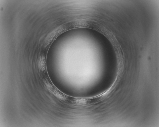X0000054450144200507291326