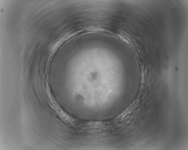 X0000054450145200507291325