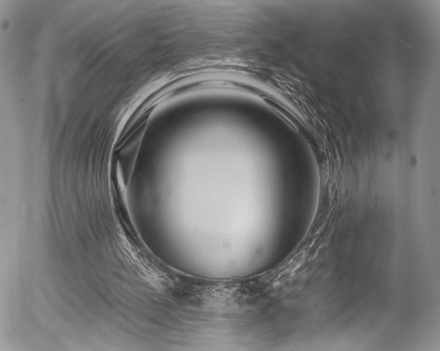 X0000054450148200507291325
