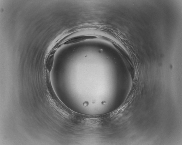 X0000054450150200507291325