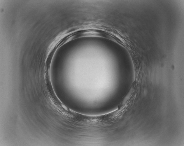 X0000054450152200507291325