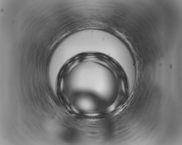 X0000054450154200507291325