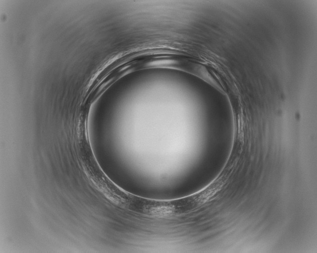 X0000054450156200507291325