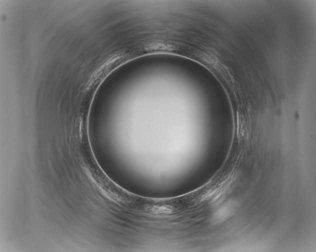 X0000054450157200507291325